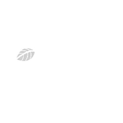 Logo Sponsor